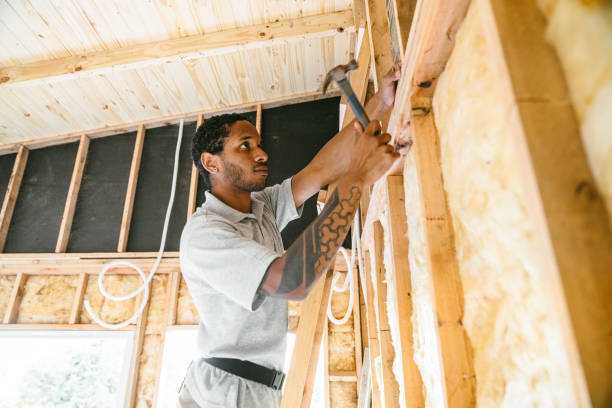Best Cellulose Insulation  in Perkasie, PA